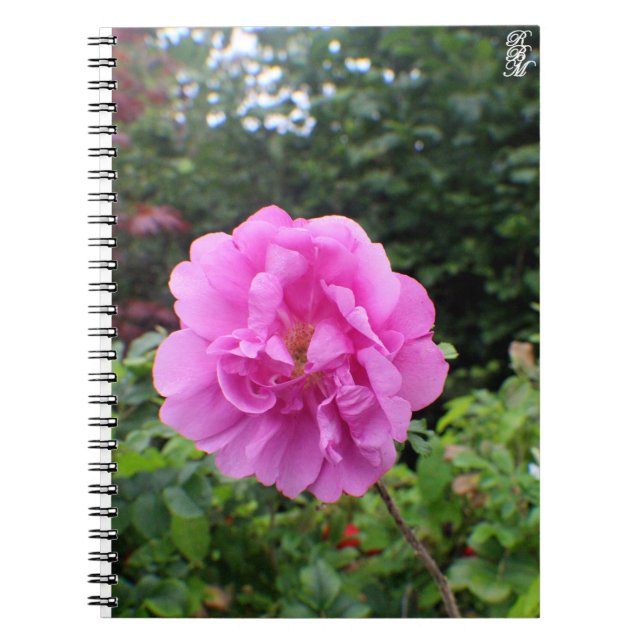Cuaderno A Single Pink Flower (Frente)