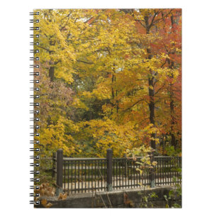 Cuaderno aa
