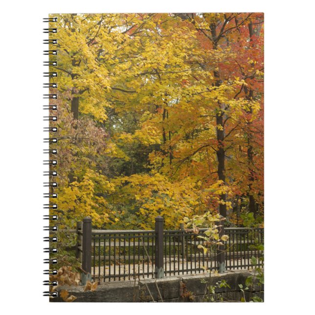 Cuaderno aa (Frente)