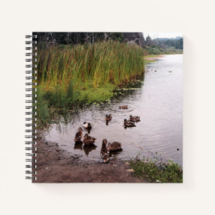 Cuaderno Abajo en el pantano......