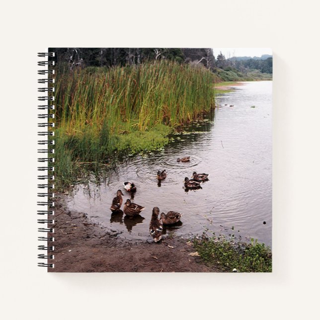 Cuaderno Abajo en el pantano...... (Anverso)