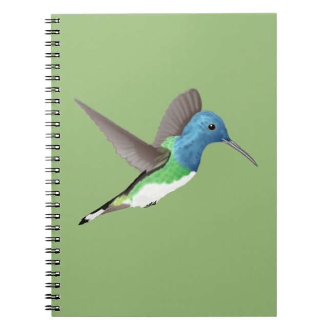 Cuaderno Abandonar a Jacobin Hummingbird - transparente. (Frente)