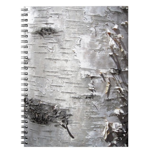 Cuaderno abedul blanco elegante de la corteza de árbol del (Frente)