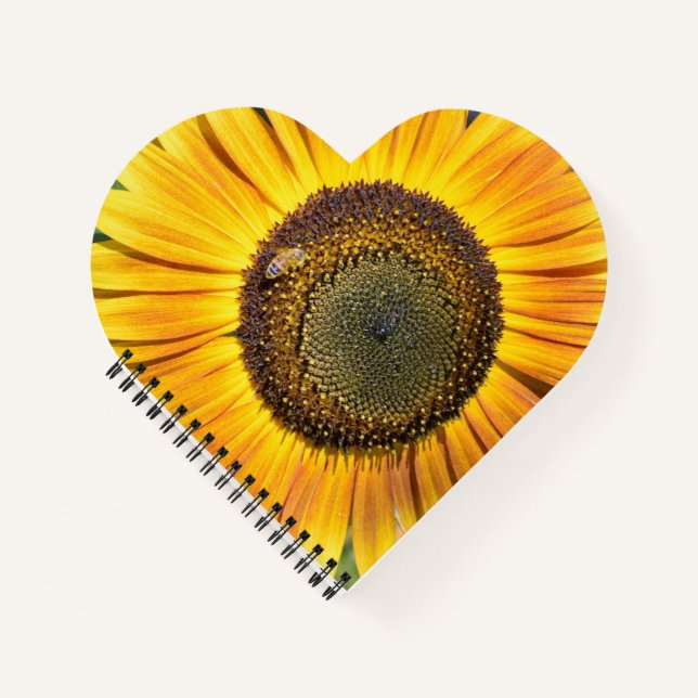 Cuaderno Abeja (Anverso)