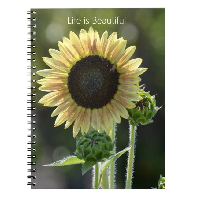 Cuaderno Abeja del Girasol (mi fotografía) (Frente)