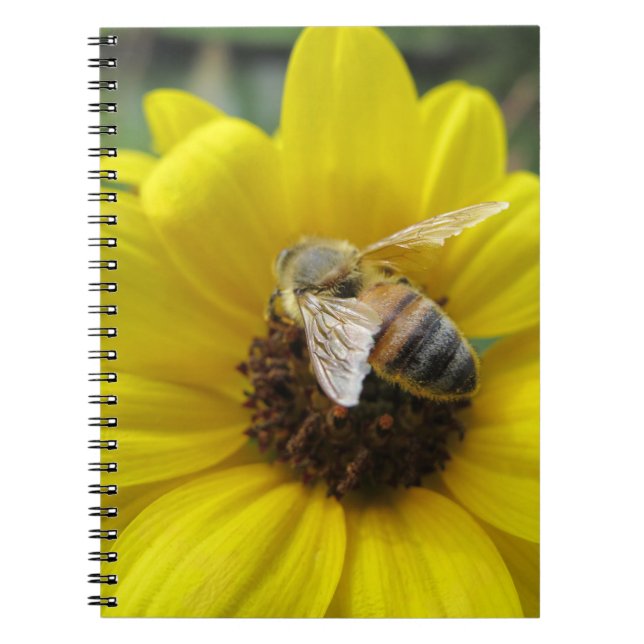 Cuaderno Abeja en el girasol (Frente)