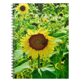 Cuaderno Abeja en el girasol amarillo