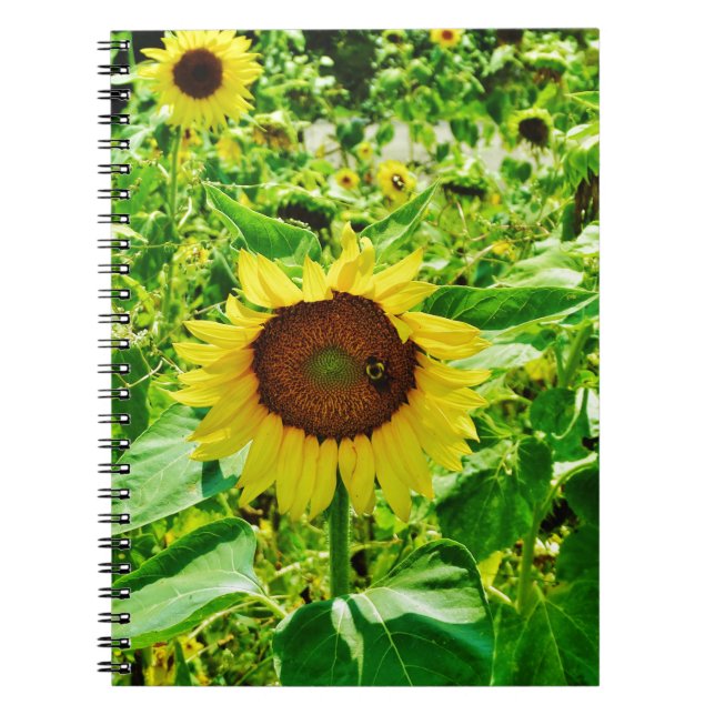 Cuaderno Abeja en el girasol amarillo (Frente)