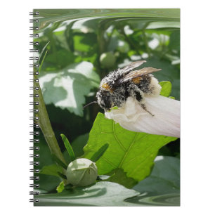 Cuaderno Abeja en verano