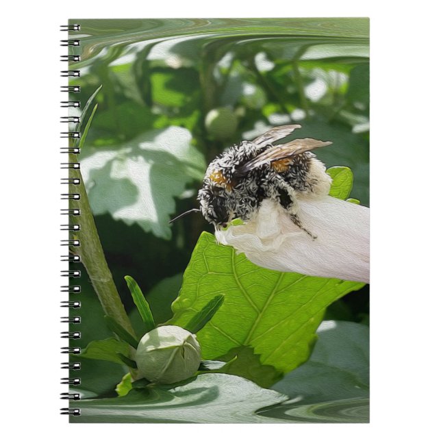 Cuaderno Abeja en verano (Frente)