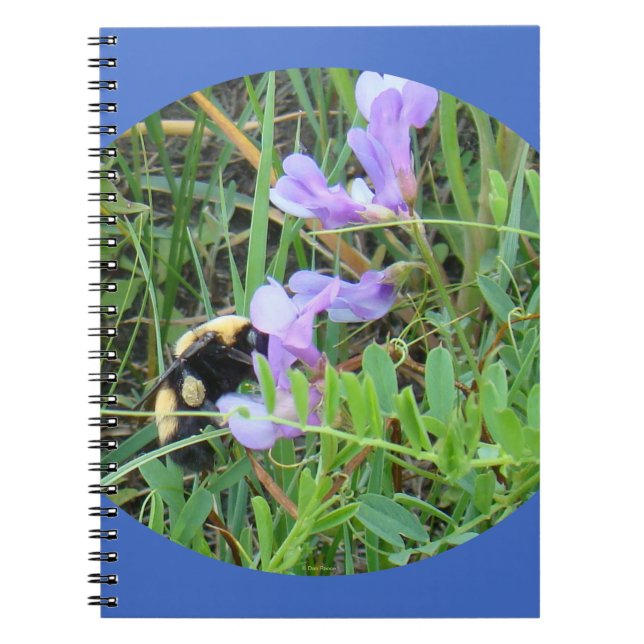 Cuaderno Abeja F32a sobre flores silvestres moradas (Frente)