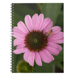 Cuaderno Abeja Melífera en Flor de Cono
