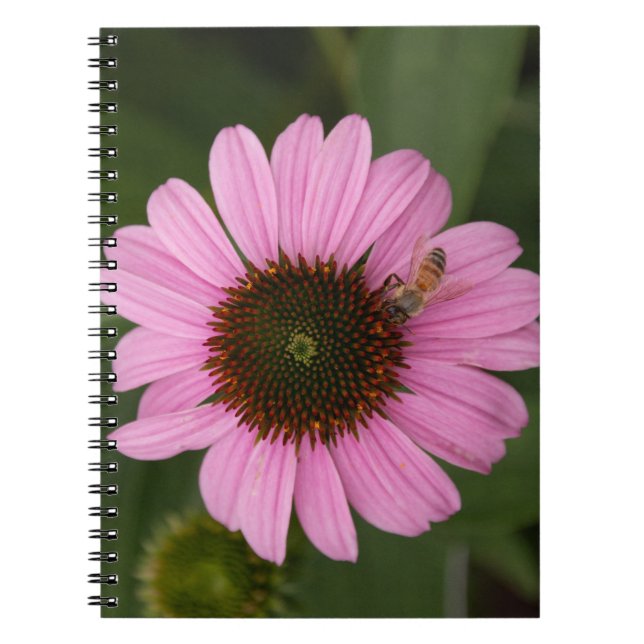 Cuaderno Abeja Melífera en Flor de Cono (Frente)