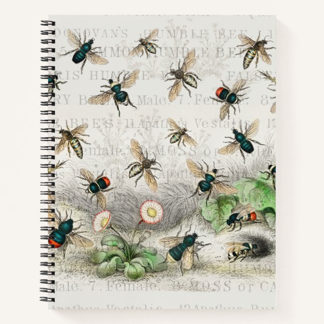 Cuaderno Abeja Miel Trabajador Reina Abejas Antigüo (Anverso)