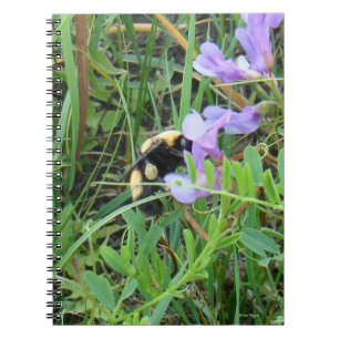 Cuaderno Abeja silvestre F2 en flores silvestres moradas