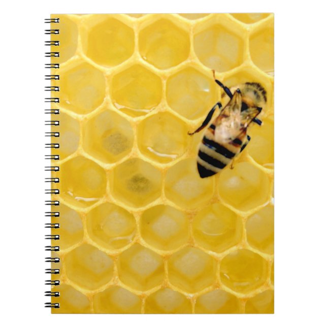 Cuaderno abeja y abeja (Frente)
