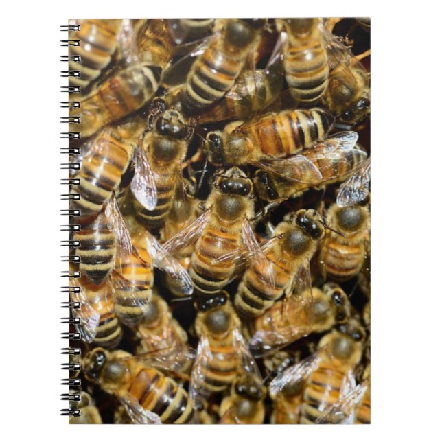 Cuaderno Abejas (Frente)