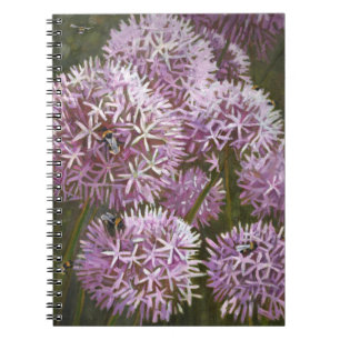 Cuaderno Abejas 2014 del verano