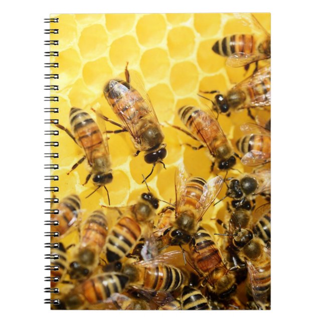Cuaderno Abejas de miel en el peine de miel (Frente)