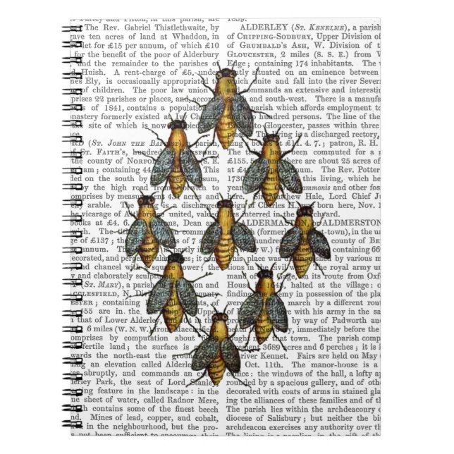 Cuaderno Abejas medievales 2 (Frente)