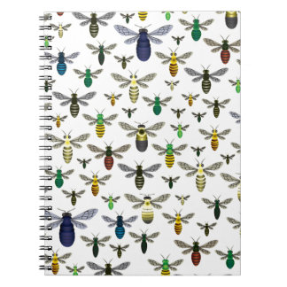 Cuaderno Abejas nativas coloridas