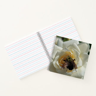 Cuaderno Abejorro y Rosa Blanca