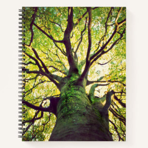 Cuaderno Abrazo de árbol