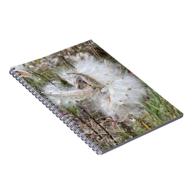 Cuaderno Abrir Pods Milkweed | Semillas con seda | Espiral (Lado Derecho)