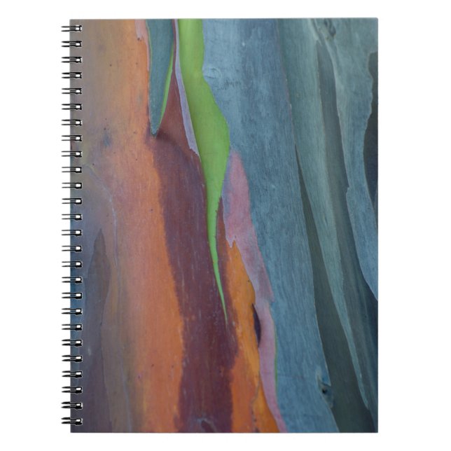 Cuaderno Abstracto Del Árbol De Goma Arcoiris (Frente)