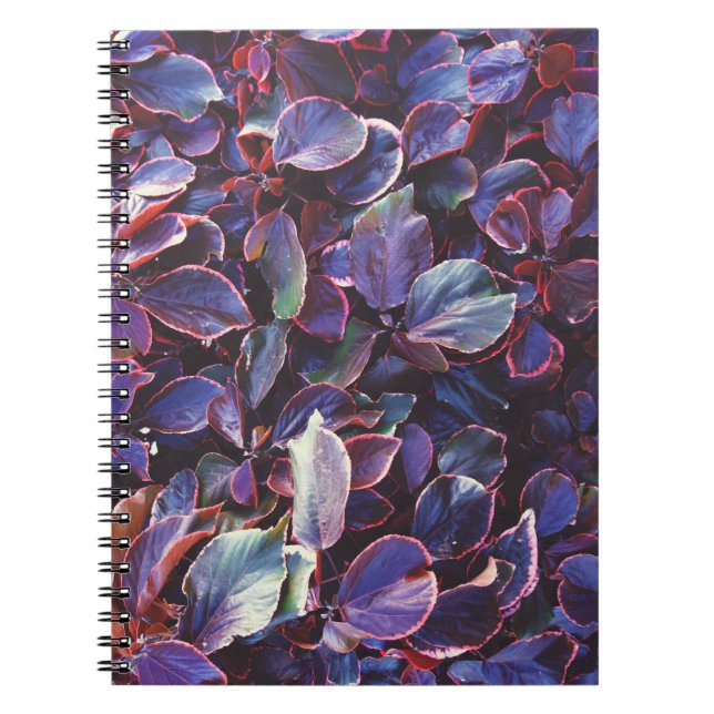 Cuaderno Acalypha Wilkesiana (Frente)