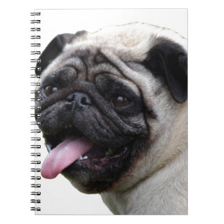 Cuaderno Accesorios de fotos Pug en blanco para manipular, 