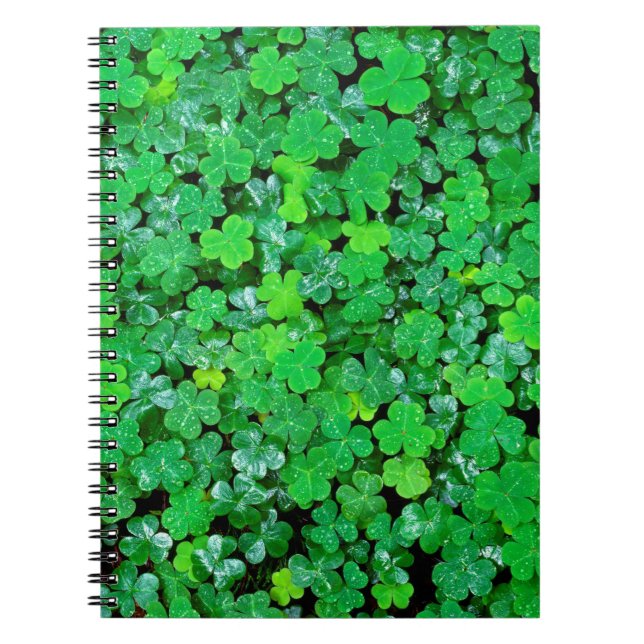 Cuaderno Acedera de Madera en Primavera (Frente)