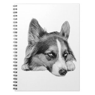 Cuaderno Acompañante reflexivo