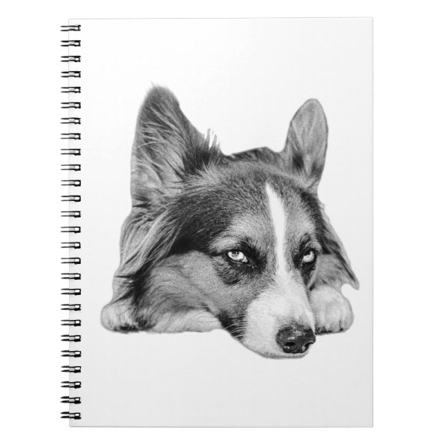 Cuaderno Acompañante reflexivo (Frente)