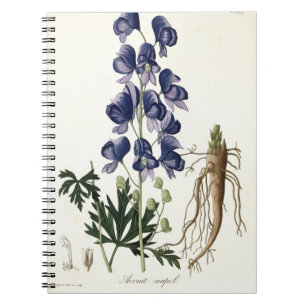 Cuaderno Aconitum Napellus de "Phytographie Medicale" cerca