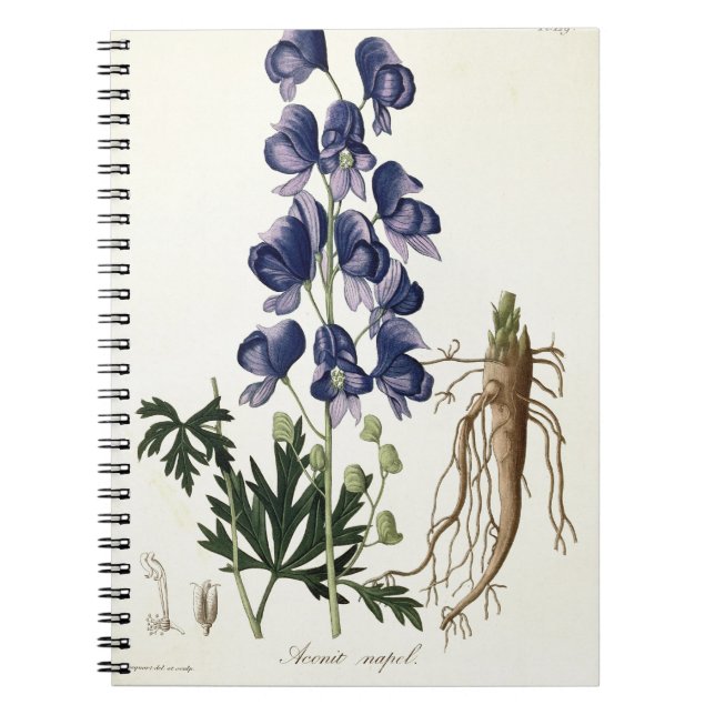 Cuaderno Aconitum Napellus de "Phytographie Medicale" cerca (Frente)