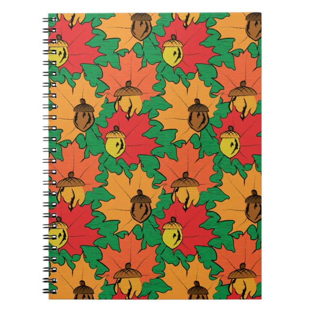 Cuaderno Acordes y hojas VI (Frente)