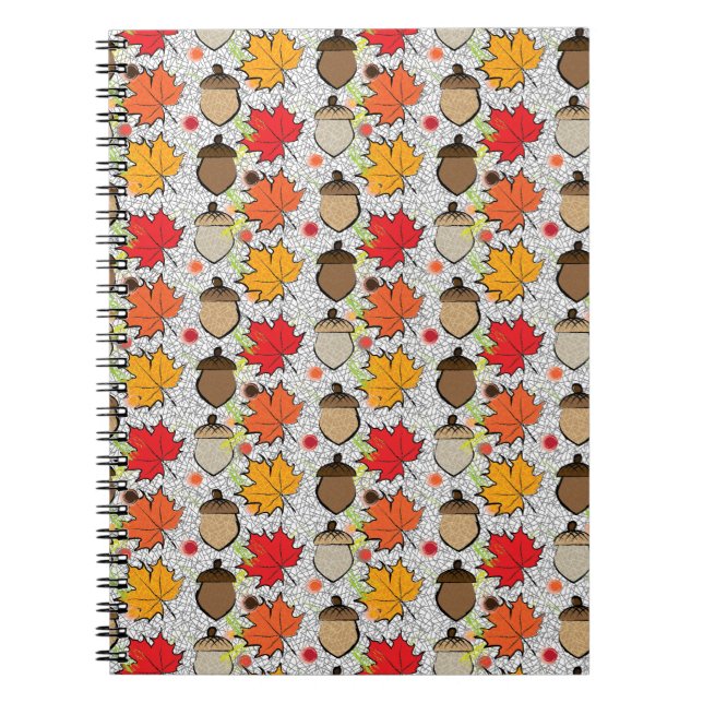 Cuaderno Acordes y hojas VII (Frente)