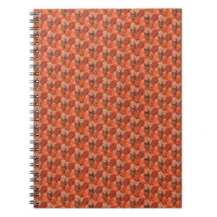 Cuaderno Acornos y hojas II