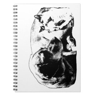 Cuaderno Acta de la reunión de la Cámara