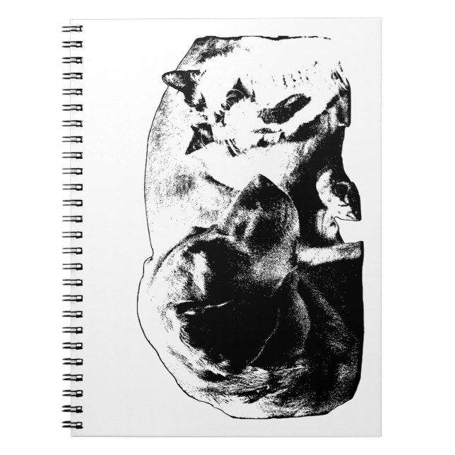 Cuaderno Acta de la reunión de la Cámara (Frente)