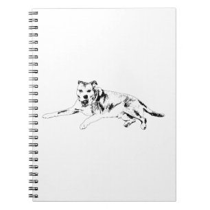 Cuaderno Actitud Abierta, Escritura Fácil
