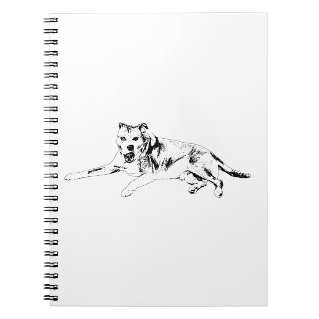 Cuaderno Actitud Abierta, Escritura Fácil (Frente)