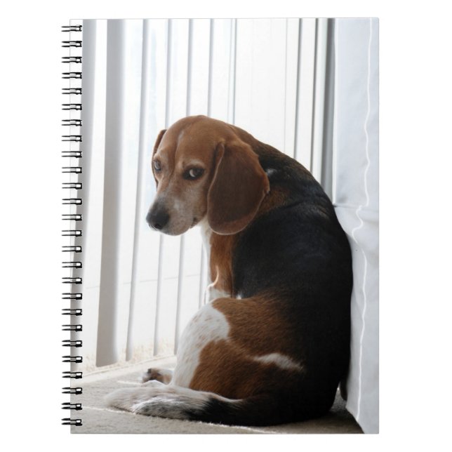 Cuaderno actitud beagante (Frente)