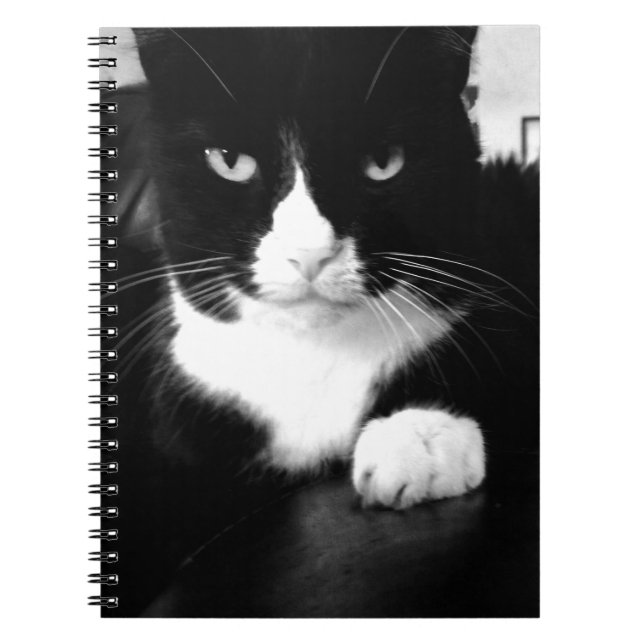 Cuaderno Actitud Kitty Mala - Impresionarme - Equipo portát (Frente)