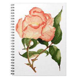 Cuaderno acuarela botánica de rosa de melocotón