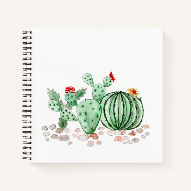 Cuaderno acuarela, cactus (Anverso)