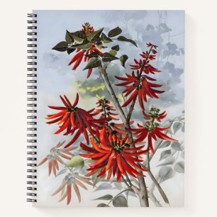 Cuaderno Acuarela de flores de Erytrina, pintura de regalo