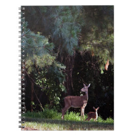 Cuaderno Acuarela de vida silvestre