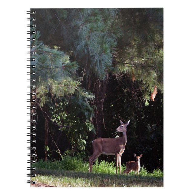 Cuaderno Acuarela de vida silvestre (Frente)